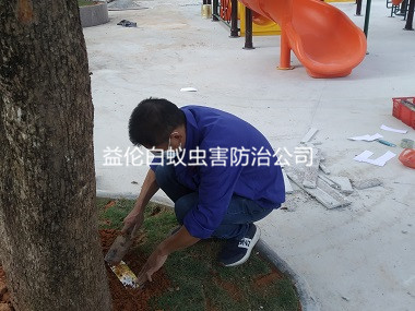 雅瑤幼兒園裝白蟻誘殺箱