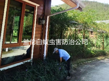 花都農(nóng)莊消滅老鼠蟲害