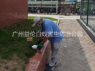 梯面校區(qū)滅紅火蟻