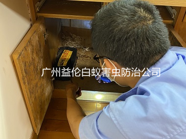 北興街小區(qū)滅治白蟻