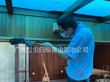 赤坭村上門治白蟻危害