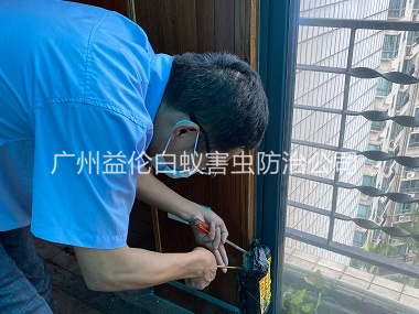 獅嶺小區(qū)白蟻防治