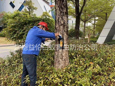 赤坭企業(yè)白蟻消殺工程