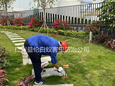 雅瑤新村防治紅火蟻