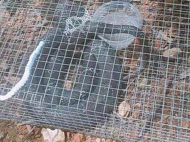 驅(qū)蛇防蛇工程