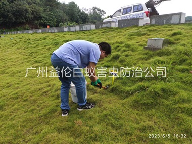 炭步堤壩有害蟻類防控