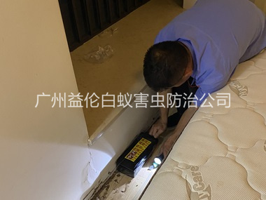 新華家居白蟻滅治