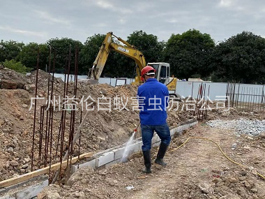 花山地基新建預(yù)防白蟻