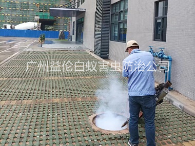 芙蓉廠區(qū)消殺處理