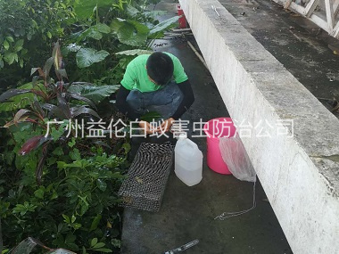 雅瑤蟲控站進行捕蛇