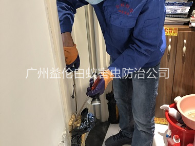 花都上門防治白蟻工程