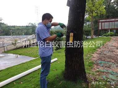 芙蓉園林綠化滅治白蟻