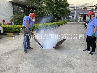 北興下水道消殺工程