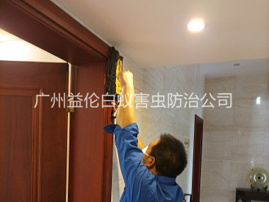 花東房屋治白蟻工程