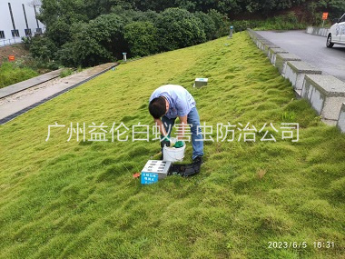 新華水利堤壩鼠害防控工程