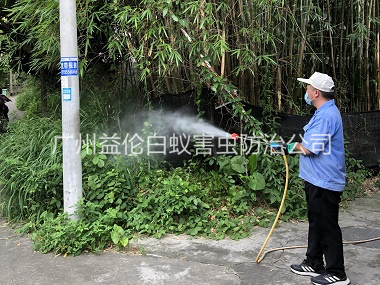 芙蓉有害生物消殺工程